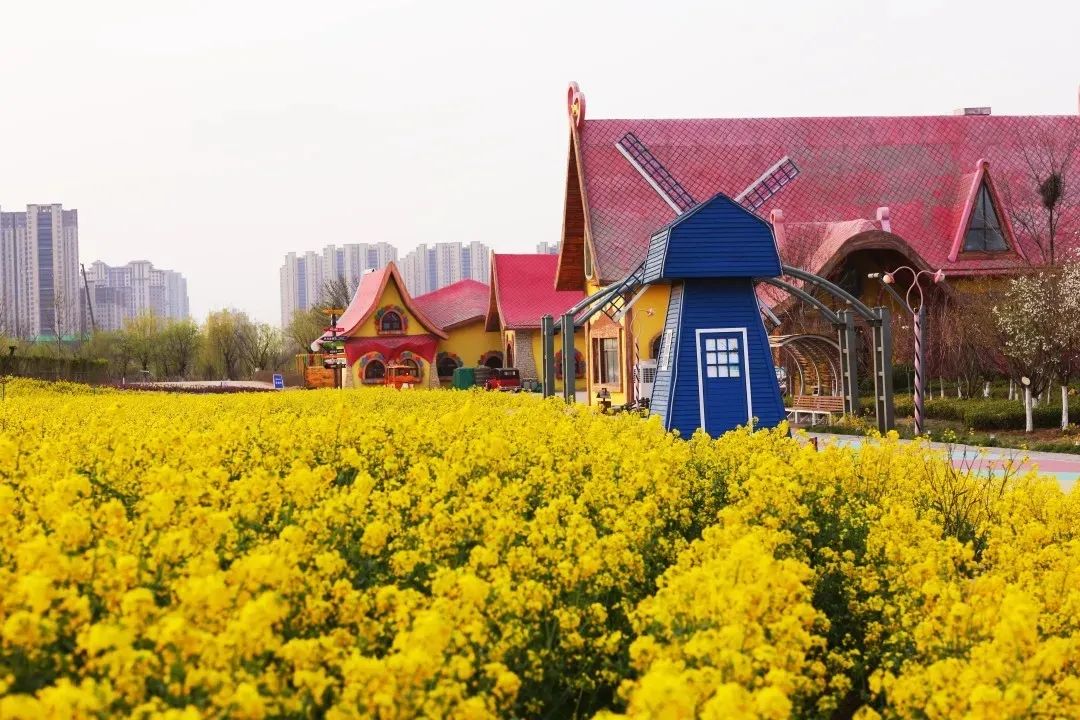 微信图片_20210506123632.jpg