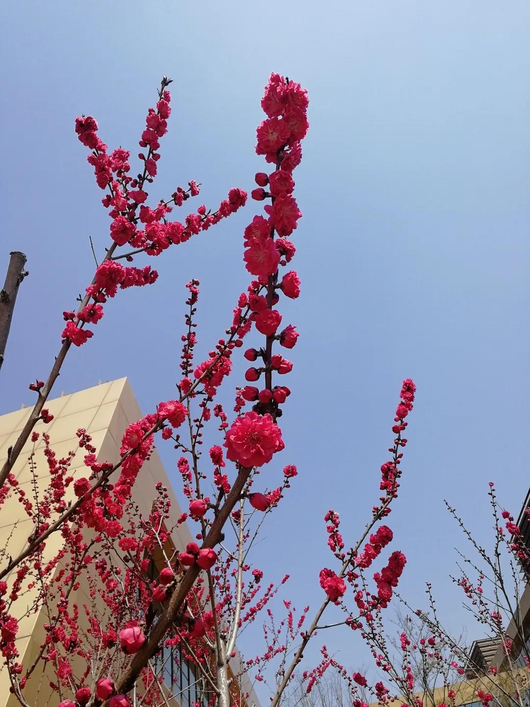 微信图片_20210514161304.jpg