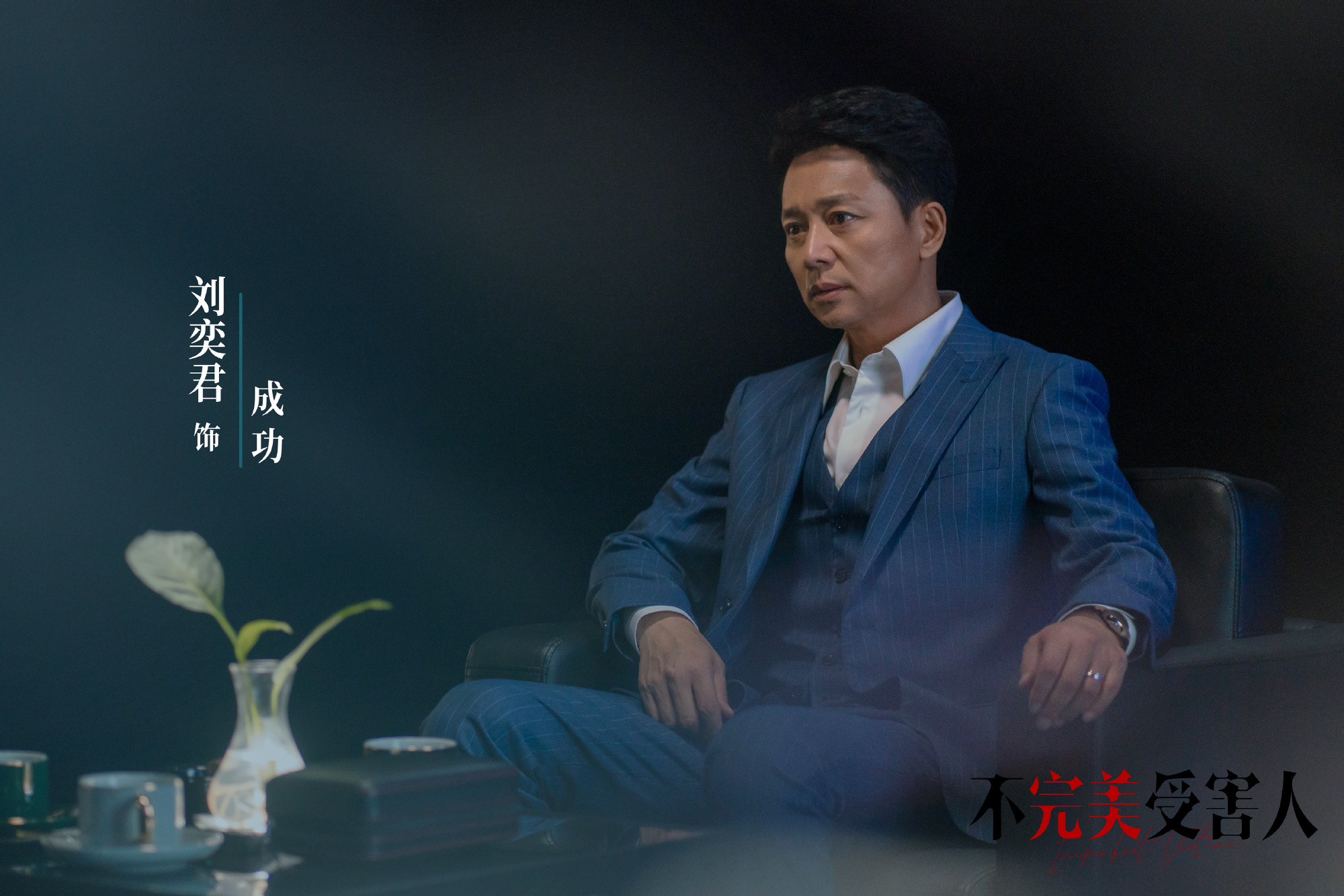 《不完美受害人》